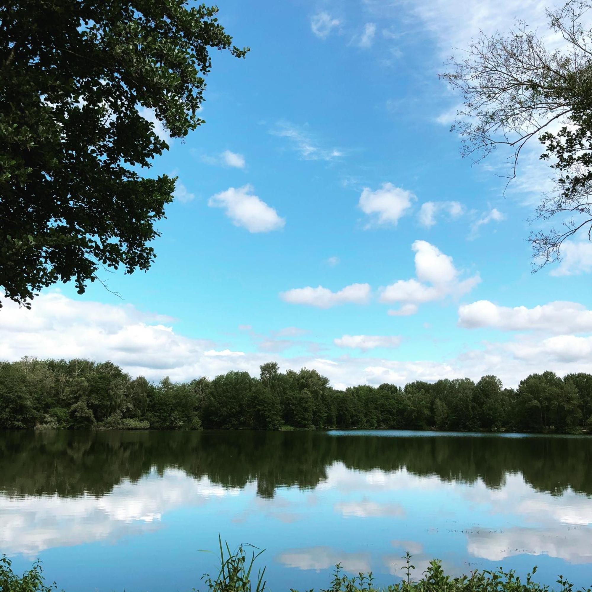 Gite De La Cote A Autreville Sur Moselle Buitenkant foto